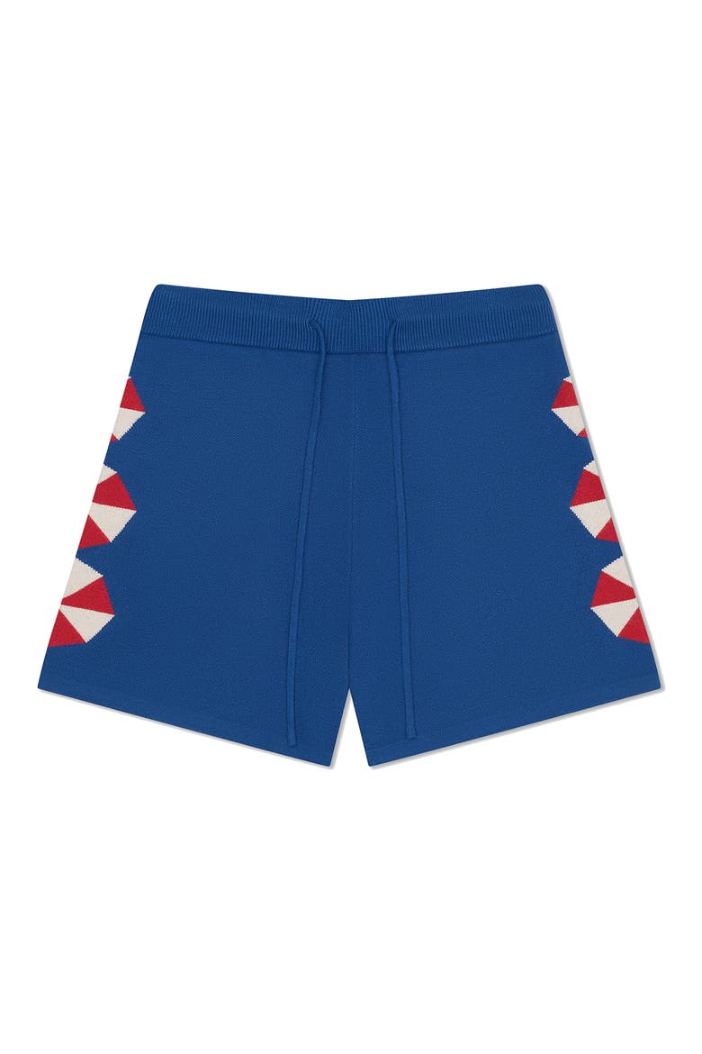 Umbrella Drawstring Sweater Shorts, Main, color, BLUE