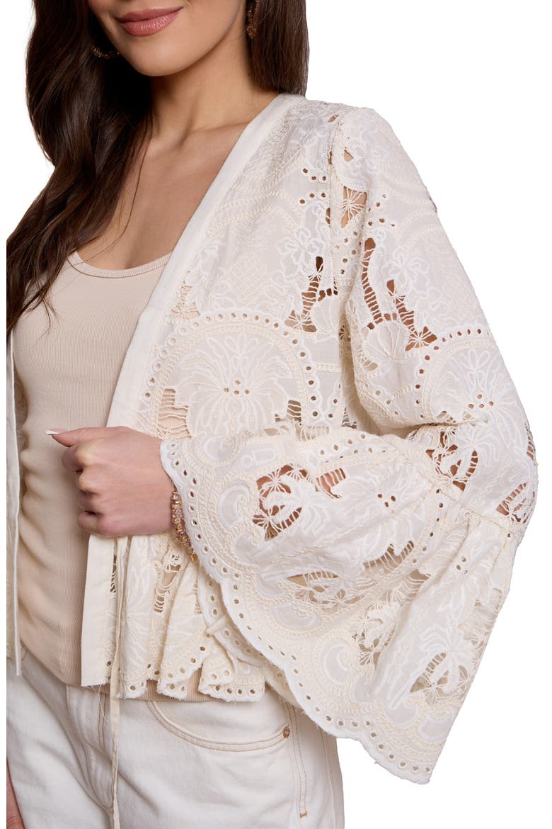 Embroidered Eyelet Tie Front Ruffle Top, Alternate, color, IVORY
