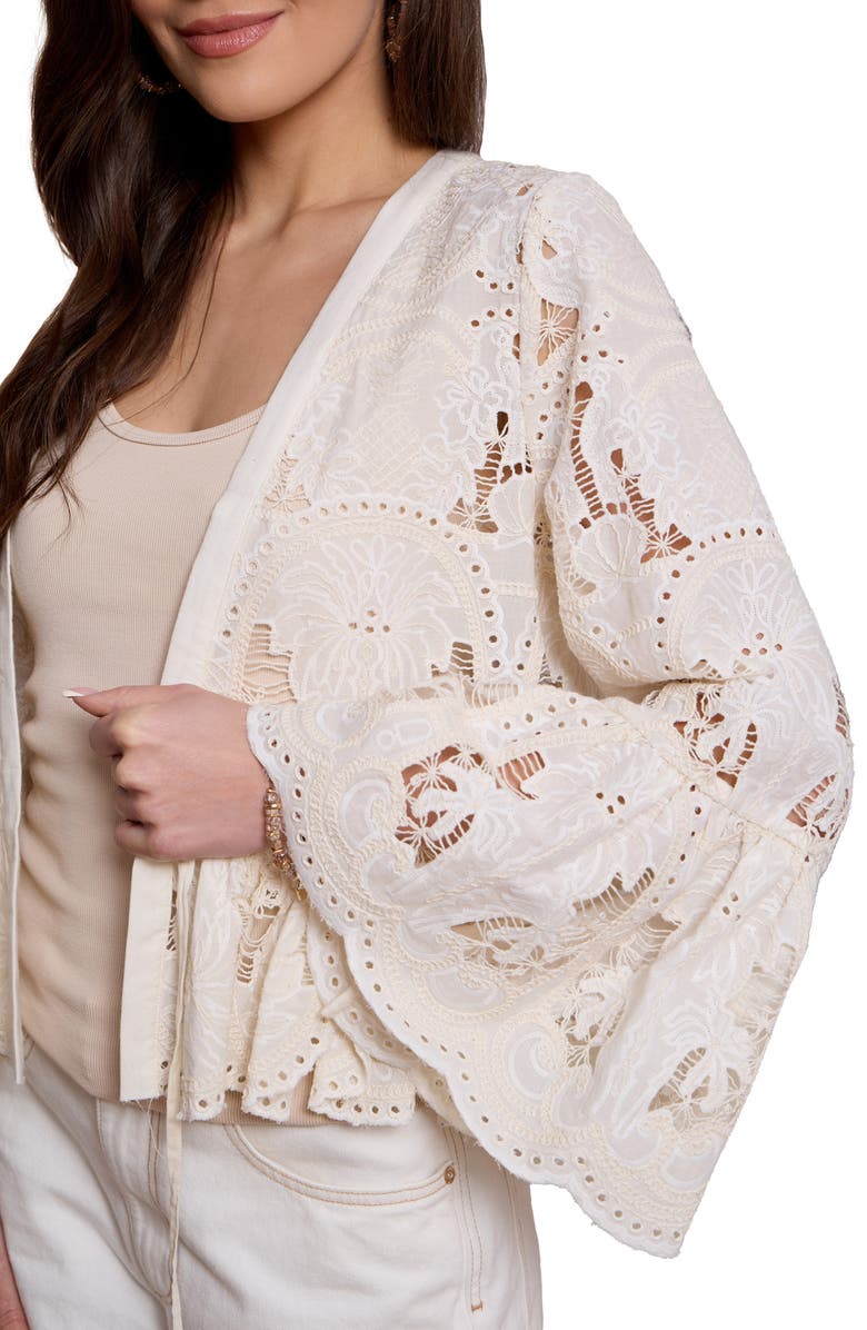 SAACHI Embroidered Eyelet Tie Front Ruffle Top, Alternate, color, Ivory