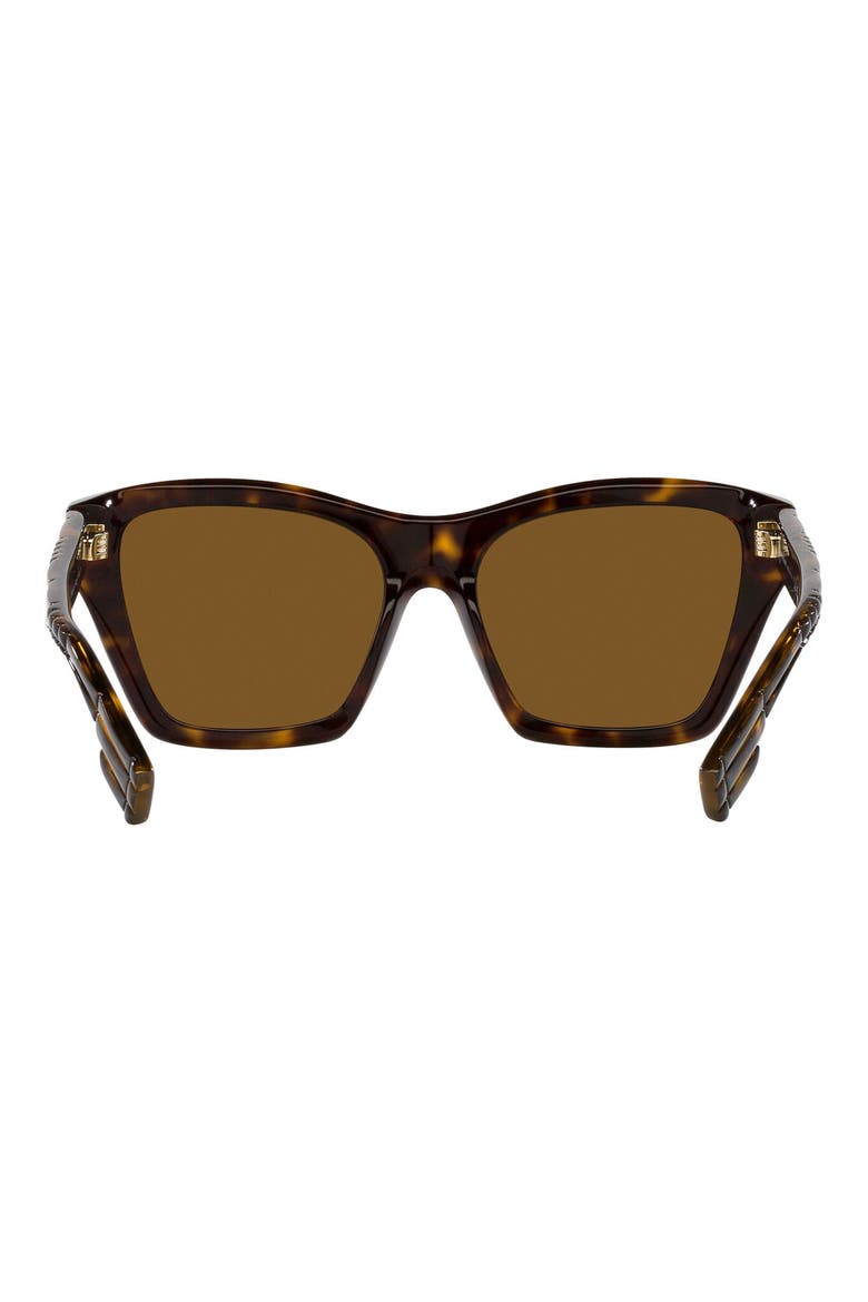 Arden 54mm Square Sunglasses, Alternate, color, DK HAVANA