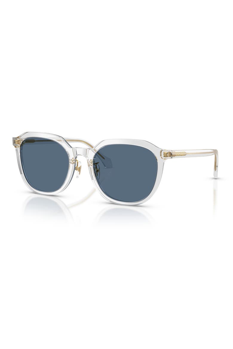 55mm Phantos Sunglasses, Alternate, color, 55197155 TRANSPARENT GREY