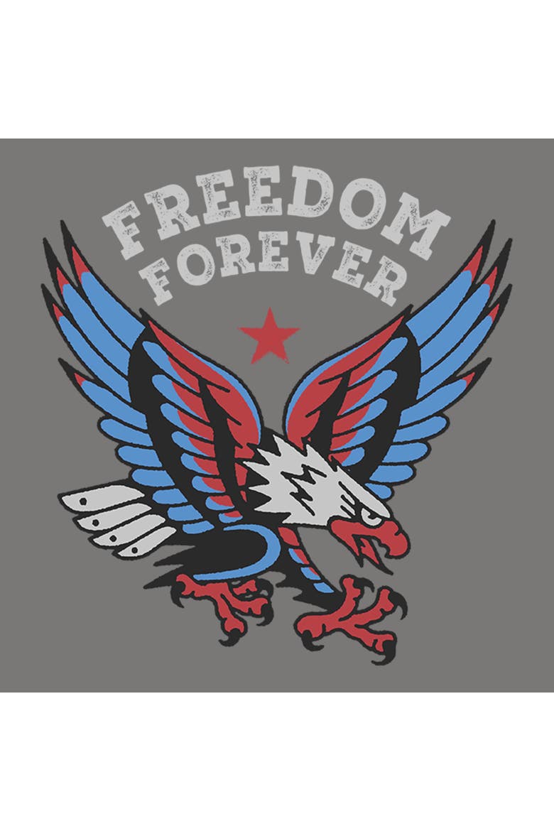 Junior's America Freedom Forever Short Sleeve Baby T-Shirt, Alternate, color, Charcoal