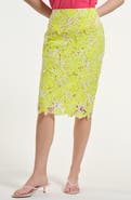 Isaac Mizrahi New York Floral Embroidered Eyelet Skirt