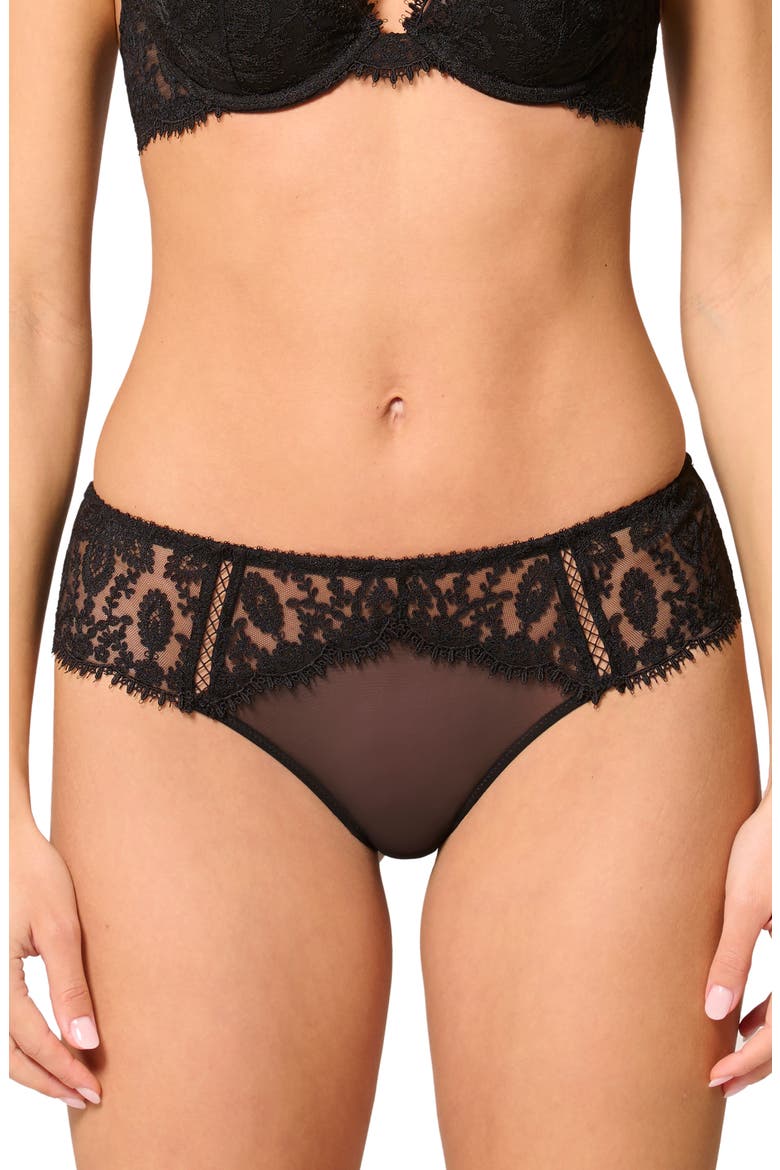 Lace Trim Tulle Briefs, Main, color, BLACK
