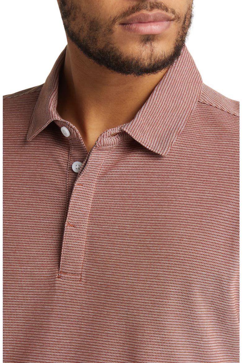 Ferguson Hidden Placket Polo, Alternate, color, CINNAMON