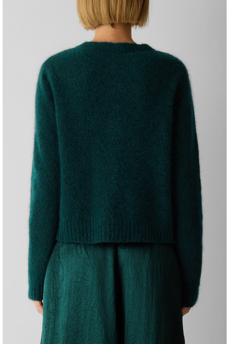 Crewneck Cardigan, Alternate, color, KELP