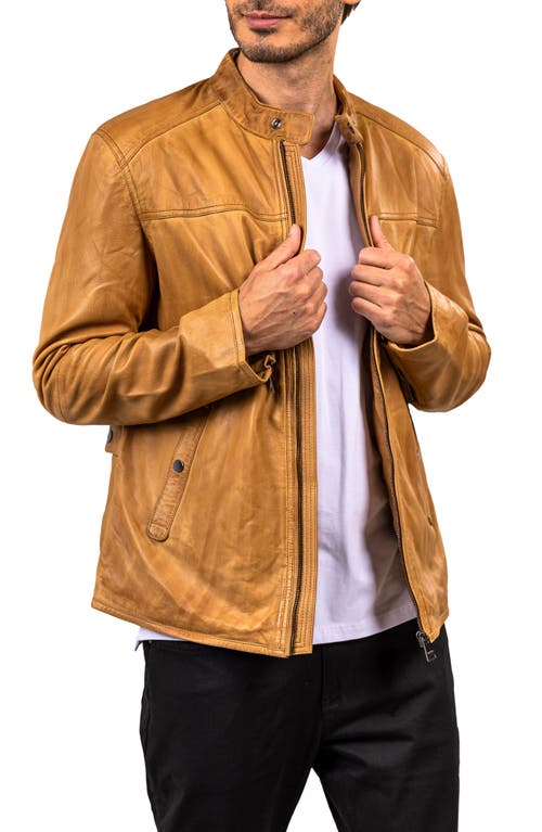 Maceoo Washed Brown Lambskin Leather Jacket In Multi