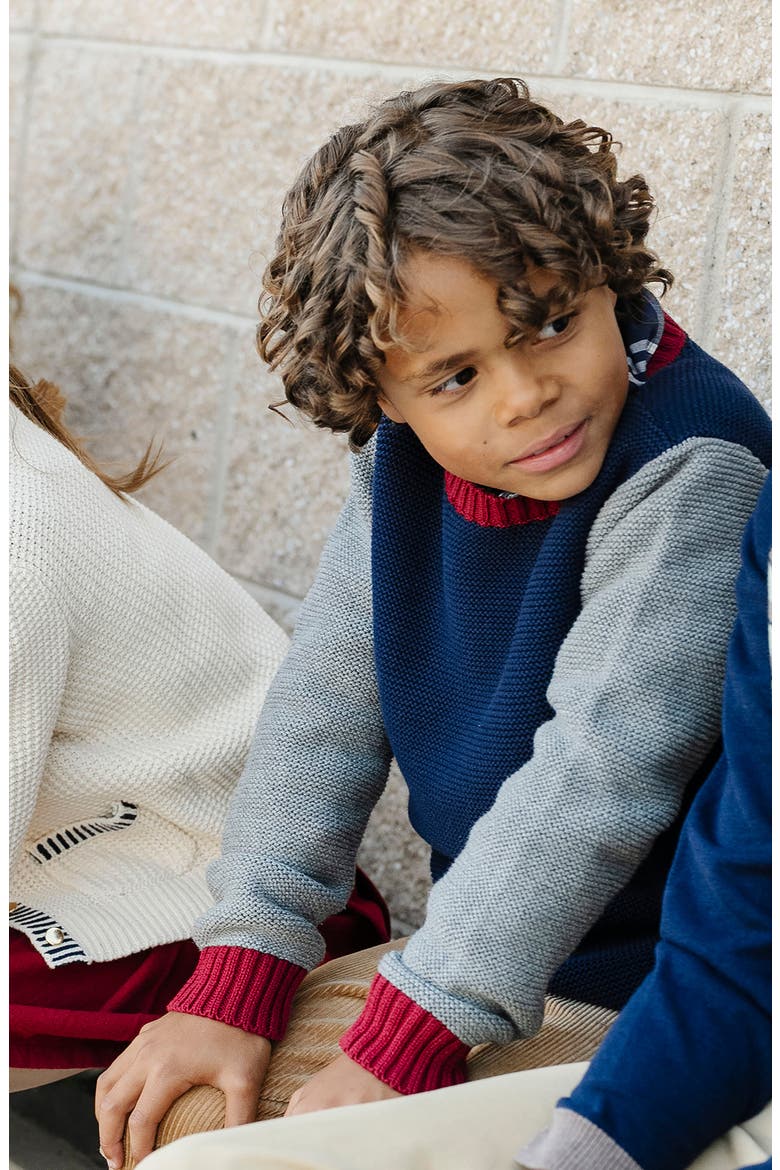 Kids' Organic Long Sleeve Crewneck Pullover Sweater, Alternate, color, Navy and Dark Gray Heather