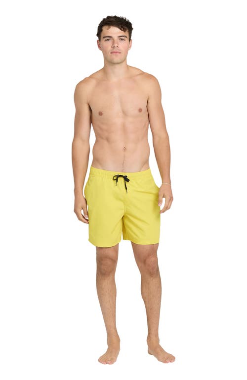Quiksilver Everyday Solid Volley Swim Trunks In Brown