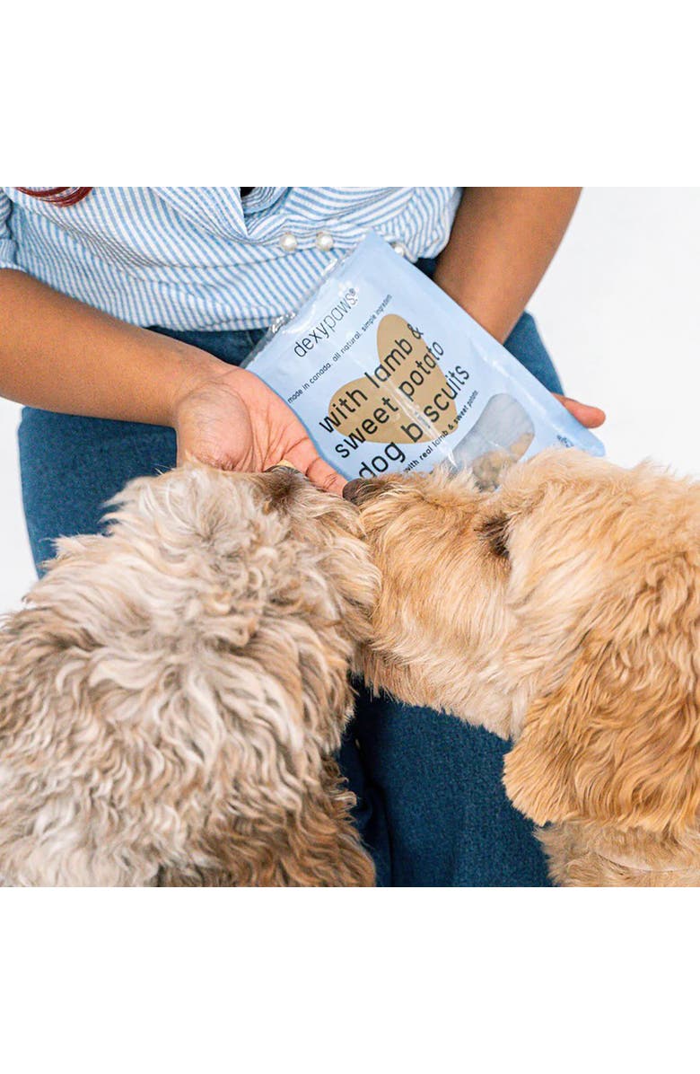 Dexypaws Lamb & Sweet Potato Dog Biscuits 12oz, Alternate, color, 
