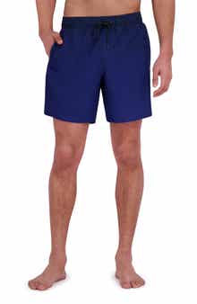 Spyder Gradient Stripe Volley Swim Shorts