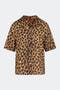 selected Cheetah