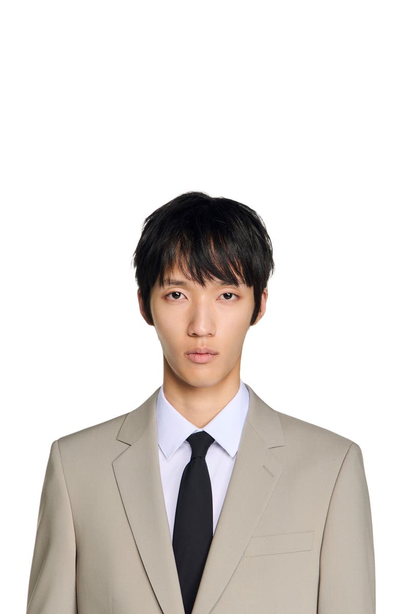 SANDRO Wool suit jacket, Alternate, color, Aluminum