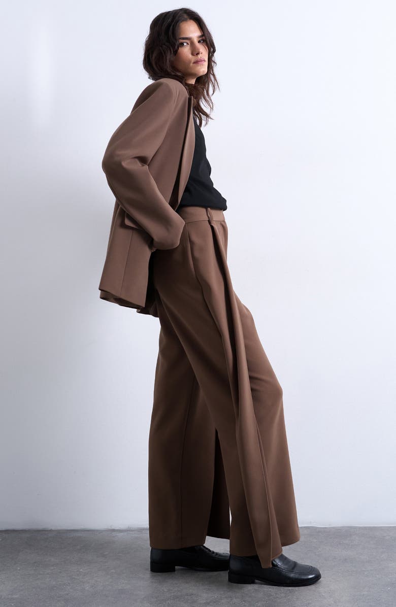 Topshop Pleated Volume Wide Leg Pants, Alternate, color, Taupe