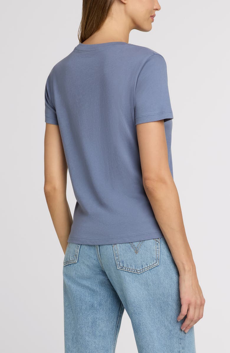 The Standard Stitch The Organic Cotton Crew Tee, Alternate, color, Steel Blue