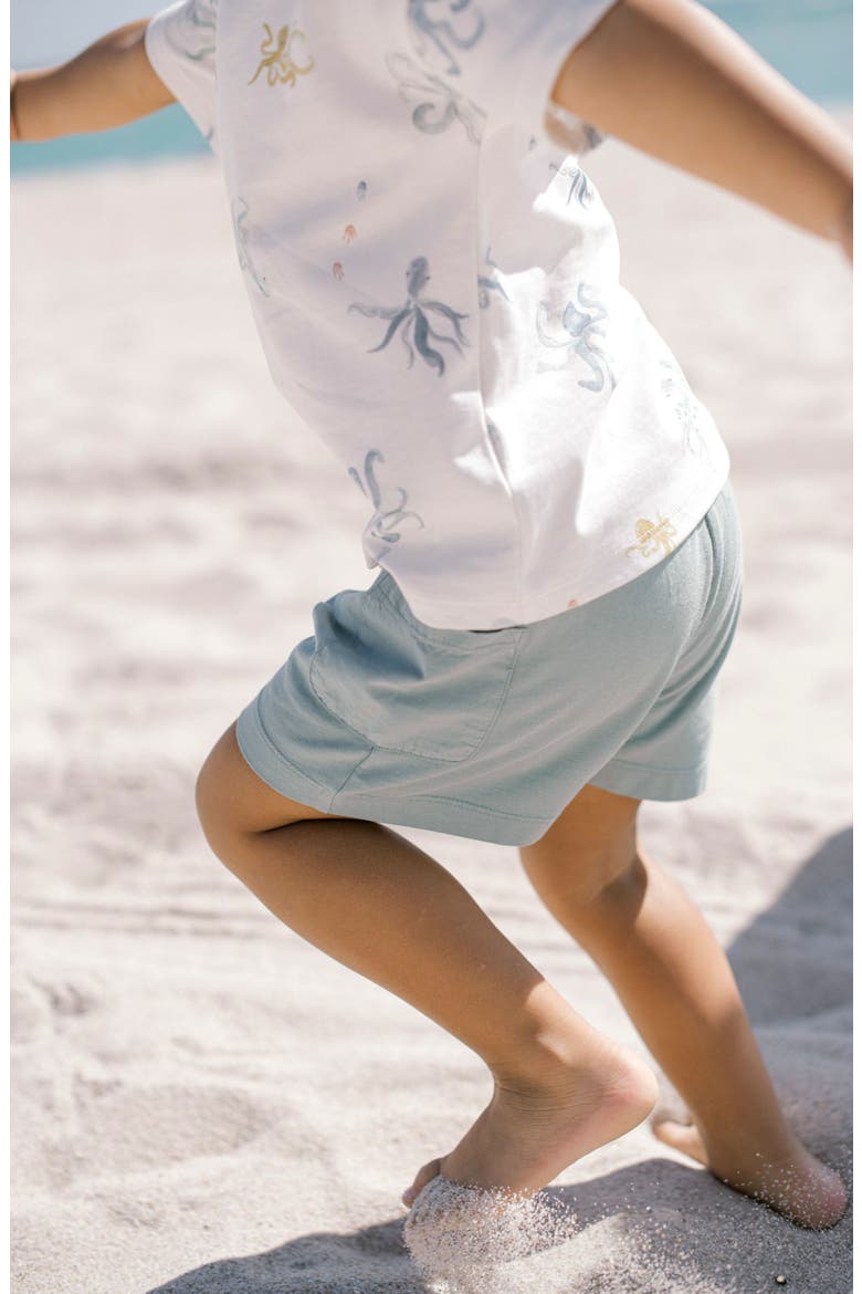 Garment Dye Shorts, Alternate, color, DEEP SEA