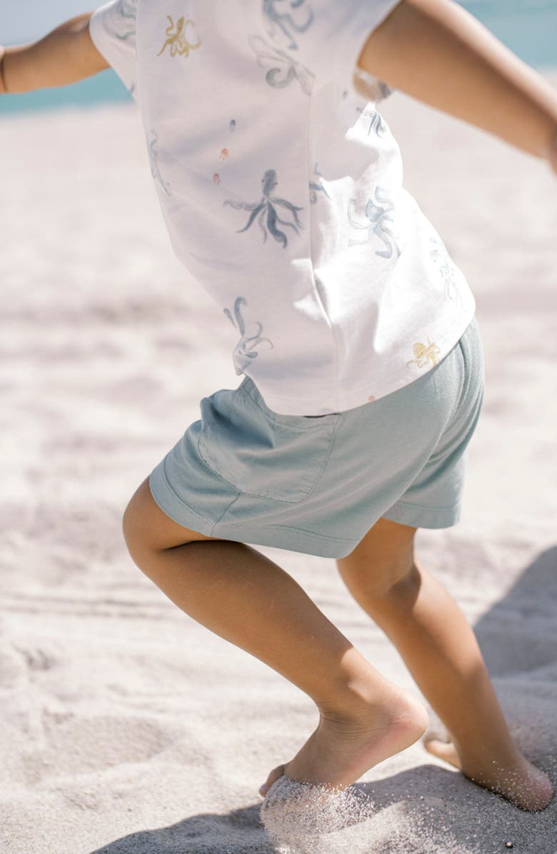 Pehr Garment Dye Shorts, Alternate, color, Deep Sea