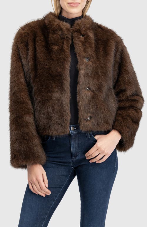 Lyla Grant Fur-free Sable (faux Fur) Jacket, Stand Collar In Brown