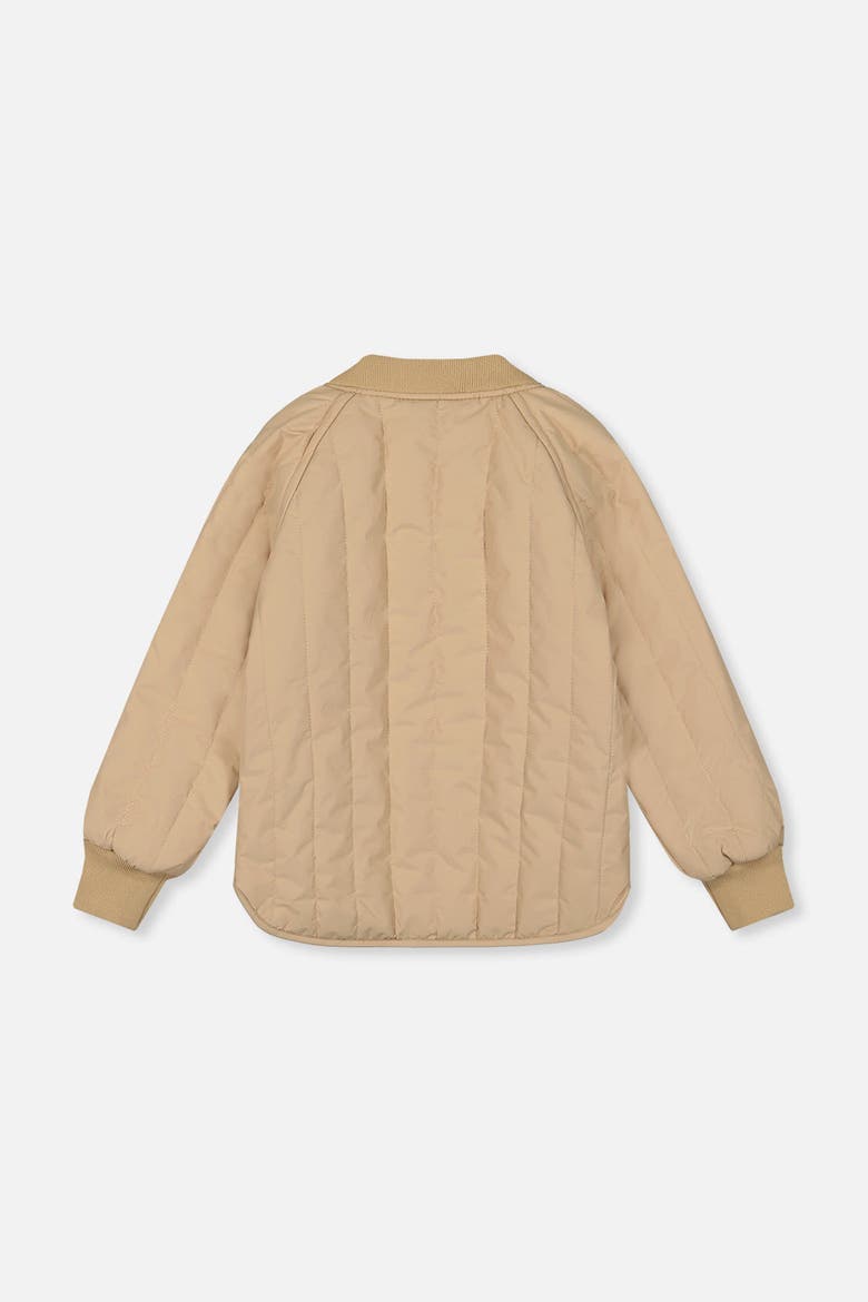 Quilted Raglan Sleeve Zip Pocket Jacket, Alternate, color, Beige
