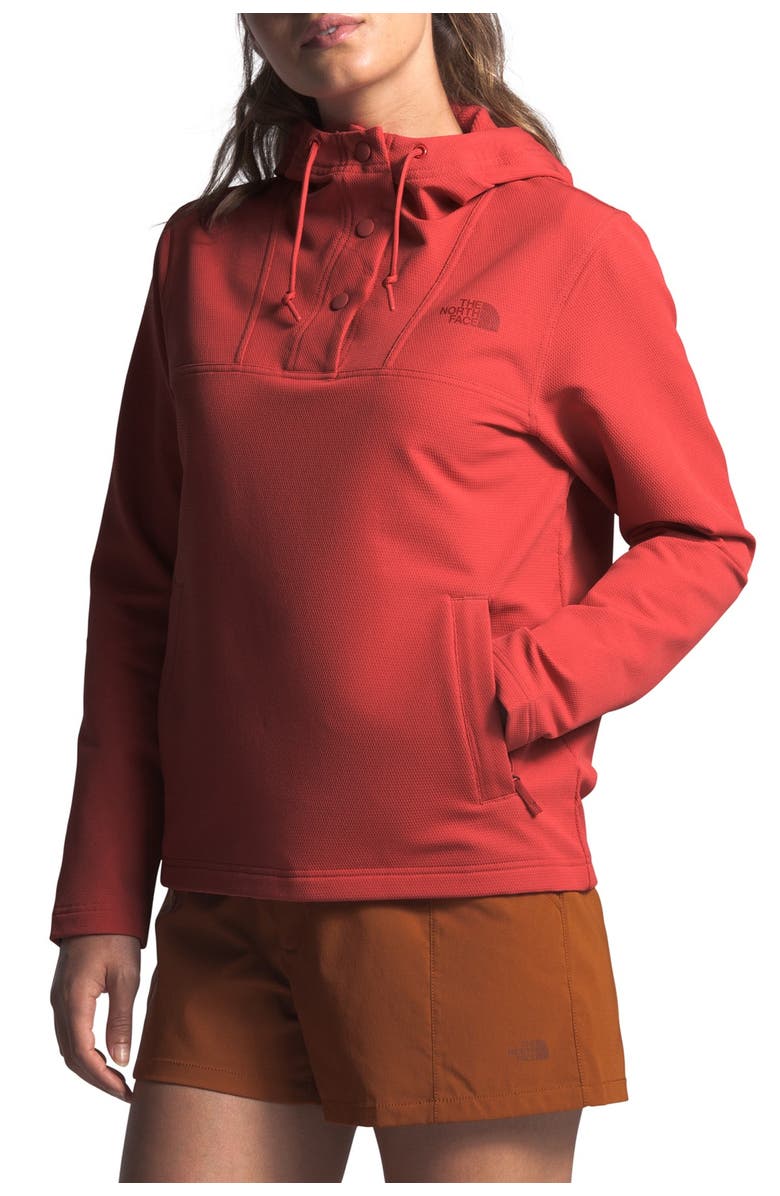 The North Face Tekno Ridge Pullover Hoodie, Alternate, color,