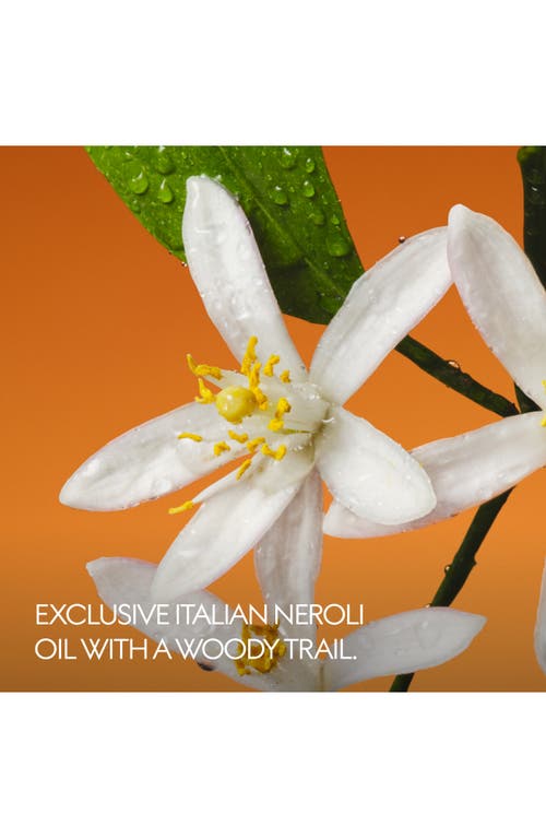 Gucci The Alchemist's Garden Fiori Di Neroli Eau De Parfum In No Color