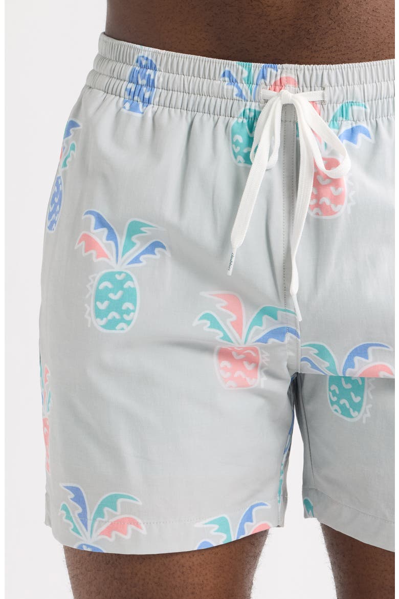 Prickle Down Economics Swim Trunks, Alternate, color, LIGHT/ PASTEL GREY