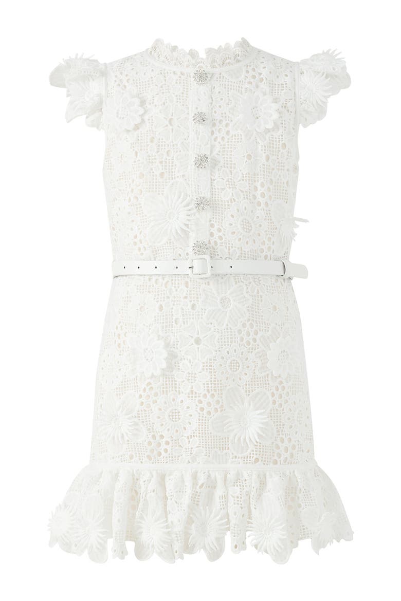 Lucinda Embroidered Mini Dress, Main, color, Ivory
