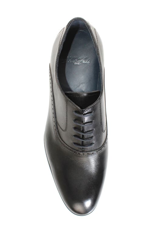 Vellapais Bristol Plain Toe Oxford In Black