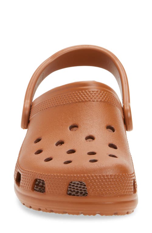 Crocs Classic Clog In Brown