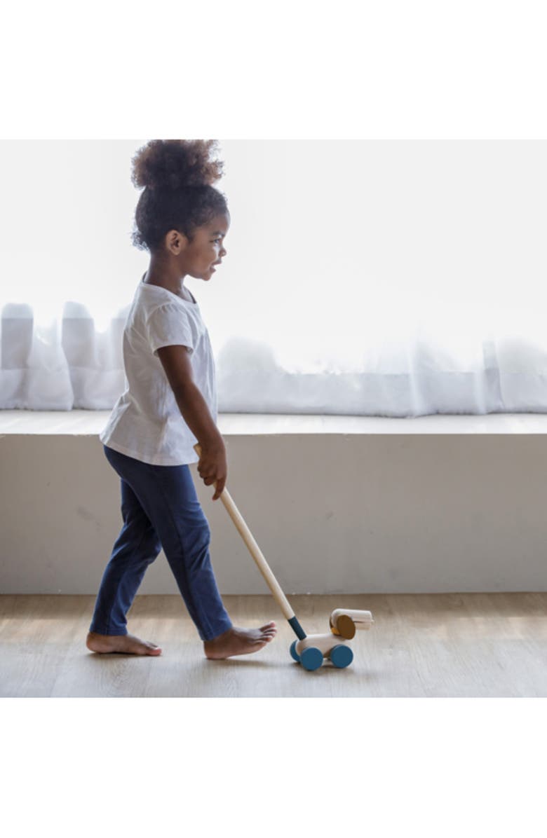 PlanToys<sup>®</sup> Puppy Push & Pull Toy, Alternate, color, Assorted