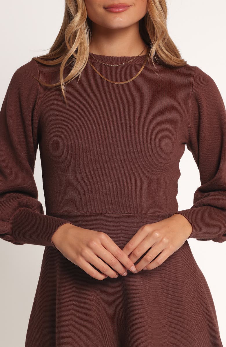 Petal & Pup Gigi Long Sleeve Fit & Flare Sweater Minidress, Alternate, color, Brown