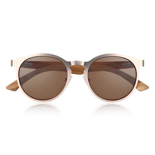 Earth Wood Positano Polarized Sunglasses In Brown