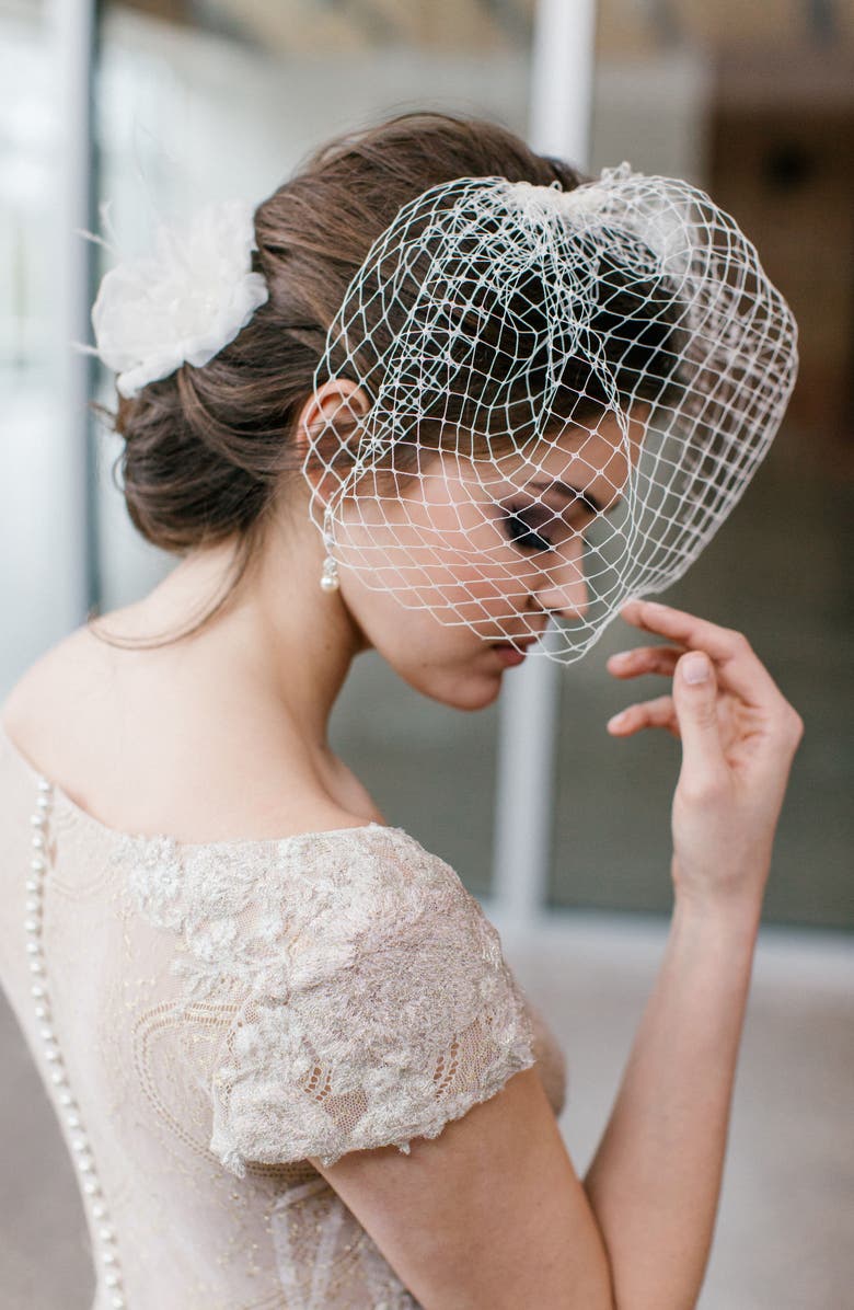 Toni Federici Dixie Birdcage Veil, Alternate, color, 