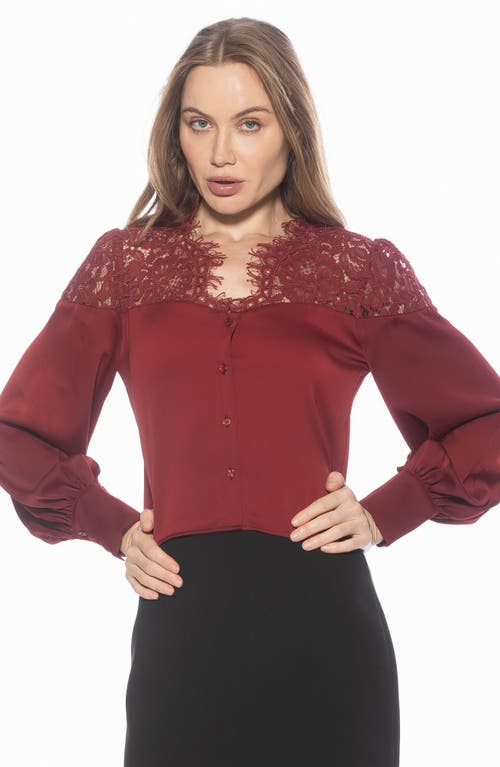 Alexia Admor Bryne Lace Trim Top In Brown