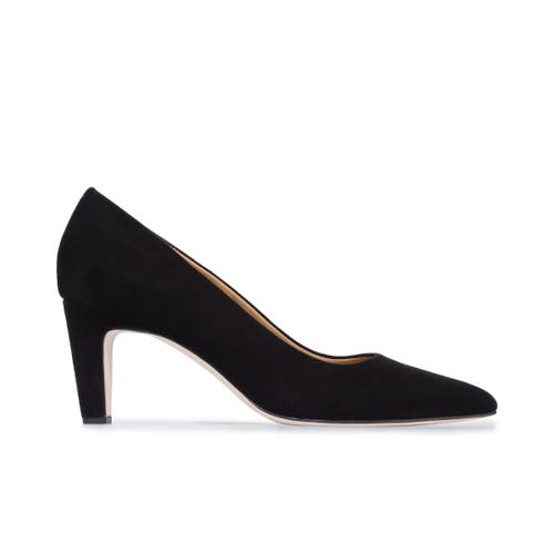 Bernardo Footwear Giselle Pointed Toe Pump In Black Suede