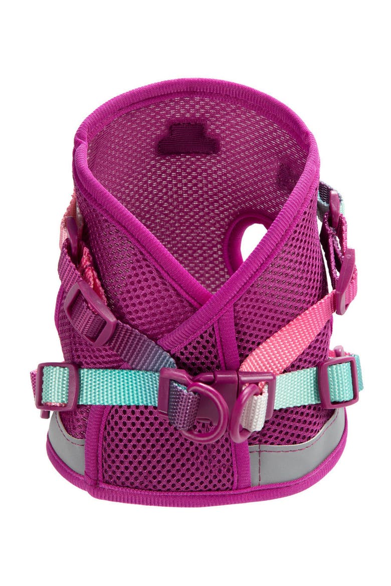 Joana Cat Harness and Leash Set, Alternate, color, Joana