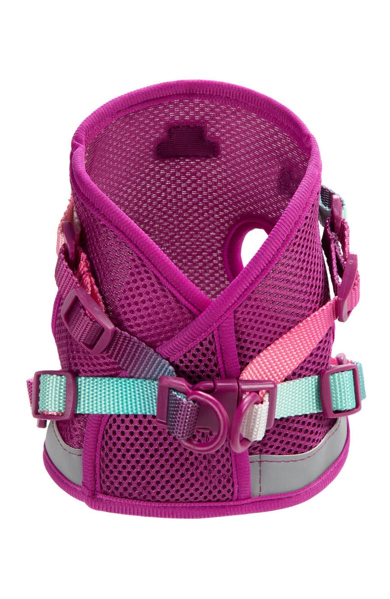 Pink Papyrus Joana Cat Harness and Leash Set, Alternate, color, Joana