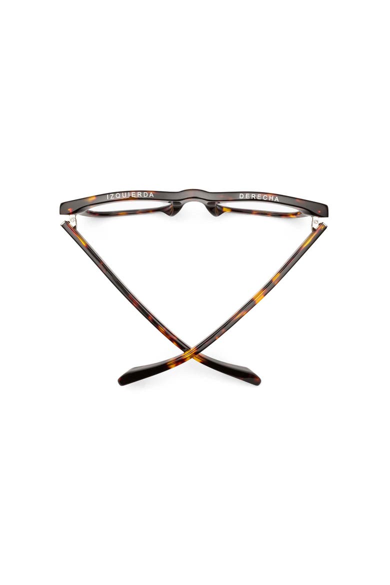 D28 | Polarized Sunglasses, Alternate, color, Turtle - Polarized Bronze