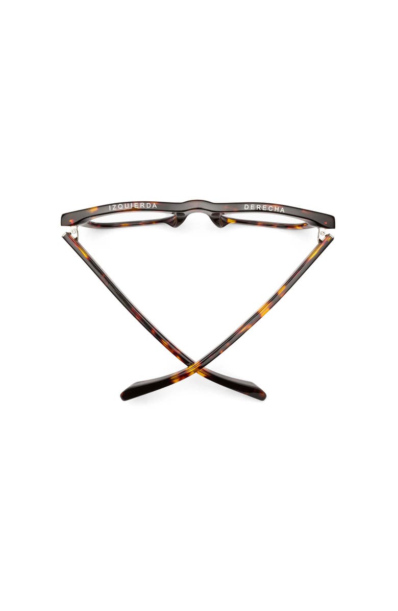 Caddis D28 | Polarized Sunglasses, Alternate, color, Turtle - Polarized Bronze