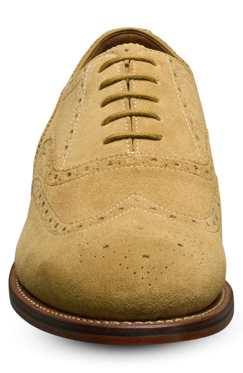 Allen Edmonds Hendrix Wingtop Oxford