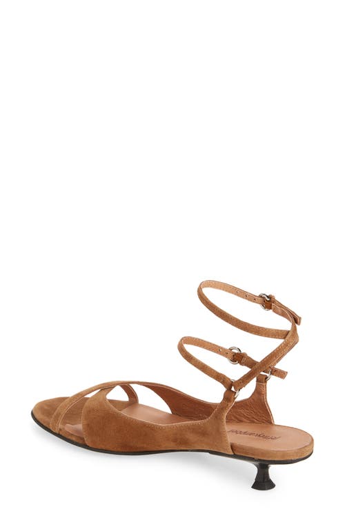 Jeffrey Campbell Mistie Strappy Kitten Heel Sandal In Brown