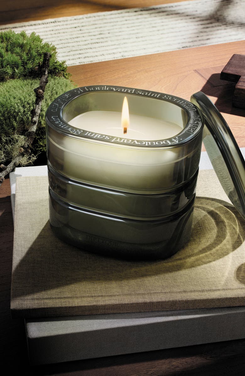 Diptyque Temple des Mousses Refillable Scented Candle, Alternate, color, Regular