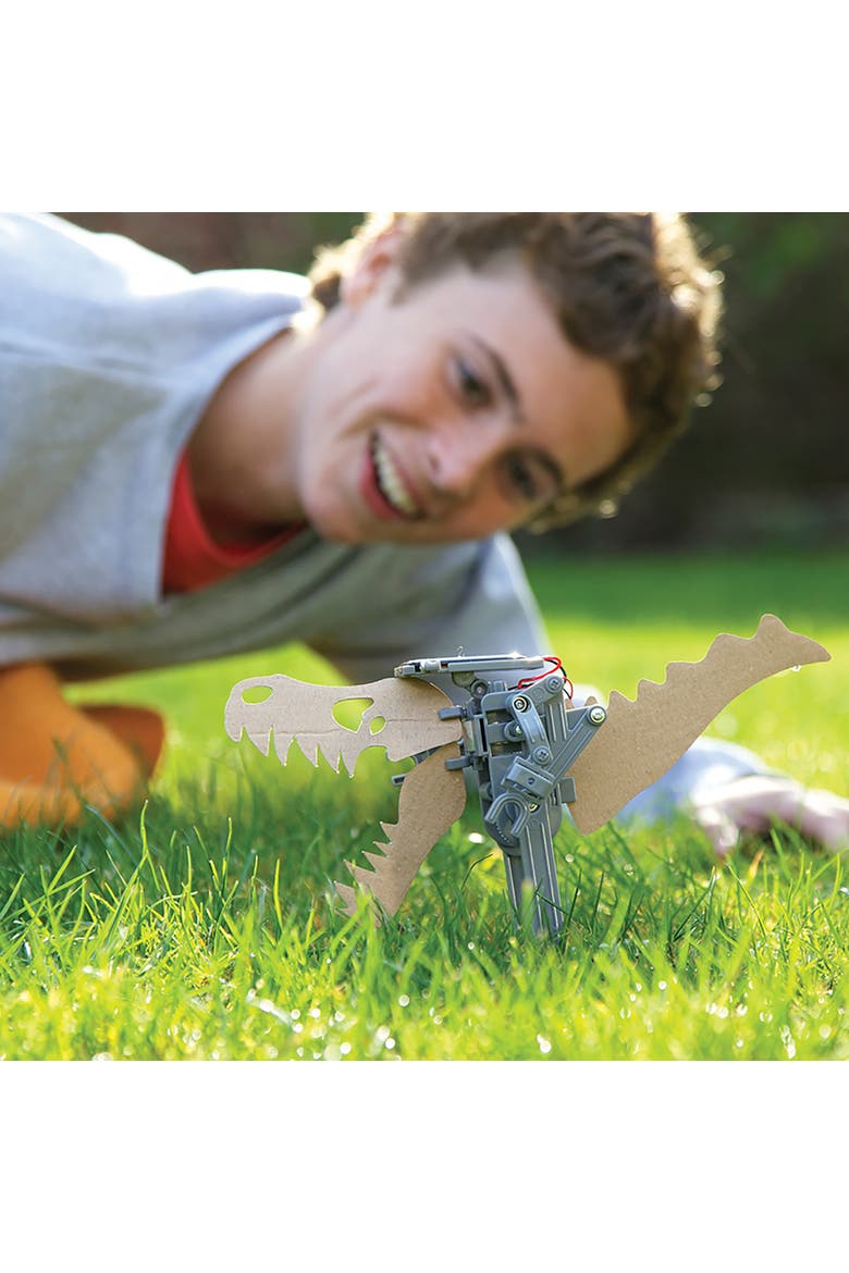 Green Science, Solar Robot DIY Walking Robot Building Kit, Kids 5+, Alternate, color, Multicolored