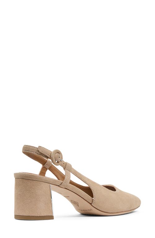 DONALD PLINER DONALD PLINER SONG SLINGBACK POINTED TOE PUMP 