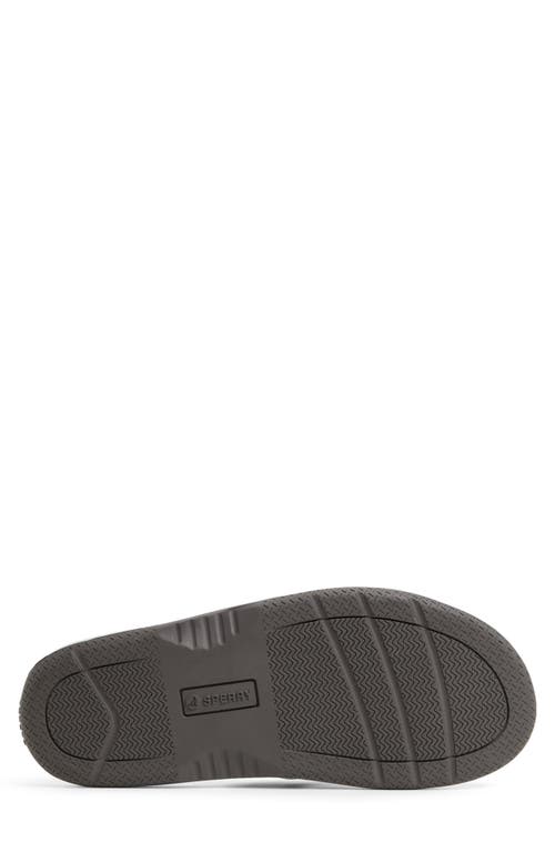 Sperry Baitfish Flip Flop In Light Grey