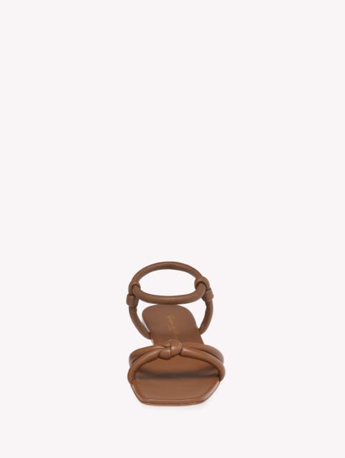 Gianvito Rossi Flat Sole Knotted Straps Sandals In Brown