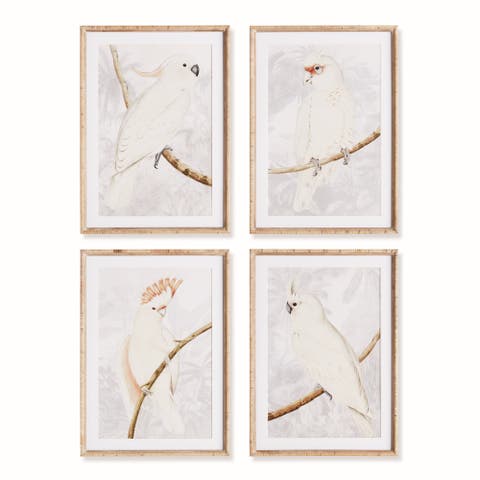 White Cockatoo Prints Framed Wall Art Set of 4