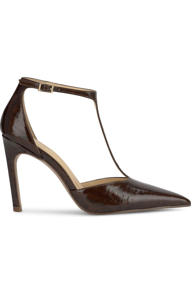 Jessica Simpson Willna T-Strap Pointed Toe Pump, Alternate, color, Chocolate Br Plnpll