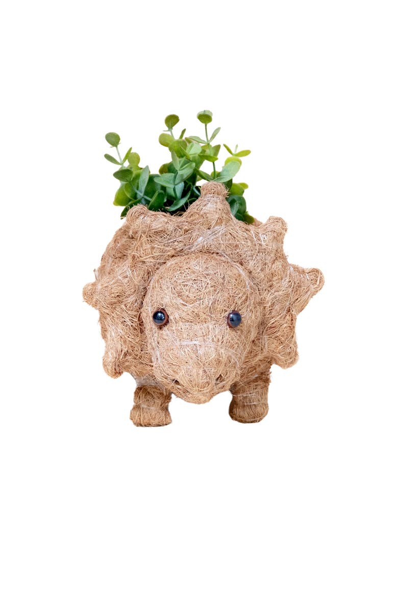 Dinosaur Coco Coir Planters, Main, color, Brown Baby Triceratops