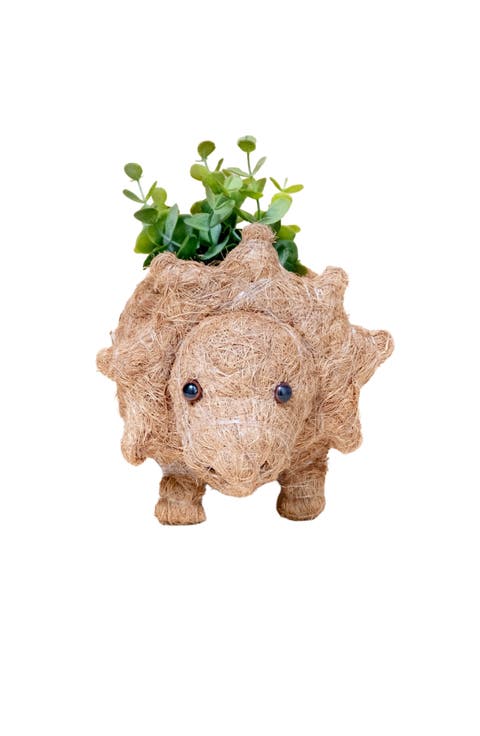 Dinosaur Coco Coir Planters